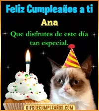 Gato meme Feliz Cumpleaños Ana